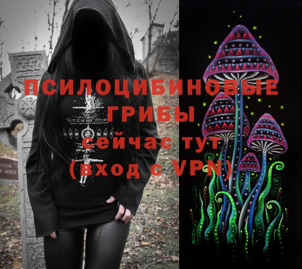 spice Алексин
