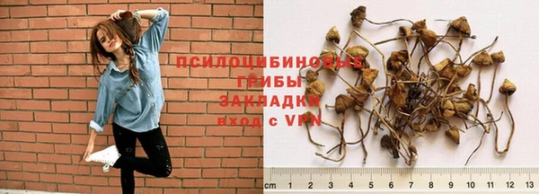 spice Алексин
