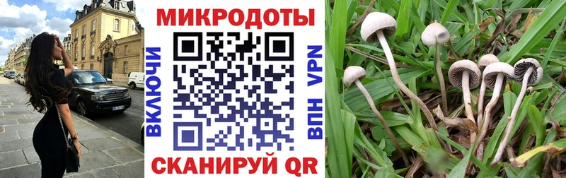Галлюциногенные грибы Cubensis  магазин    Жигулёвск 
